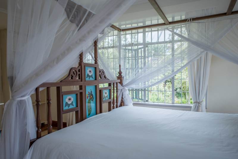 Forest House - Gallery 25